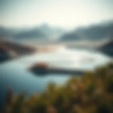 Magnificent Exploring Love Lake Qudra: An Insight into Dubai's Unique Natural Attraction