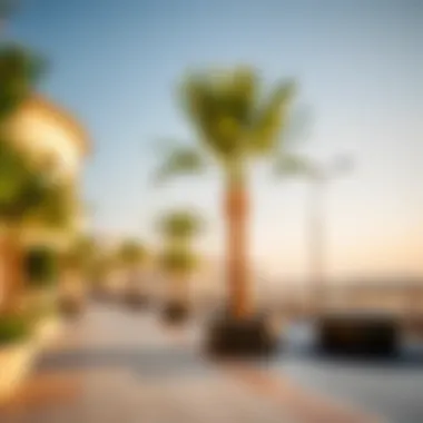 Magnificent Exploring the Clusters of Damac Hills 2