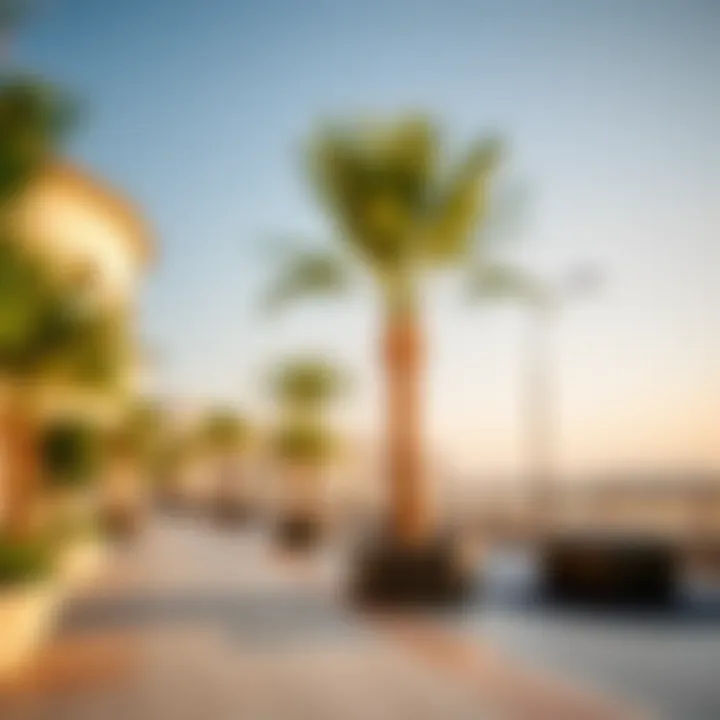 Magnificent Exploring the Clusters of Damac Hills 2