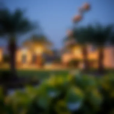 Charming community park in a Dubai neighborhood