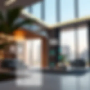 Advantages of the Makani Number for Property Owners Infographic detailing benefits for property owners using Makani