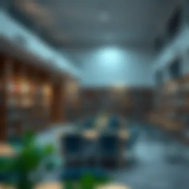 Access to Knowledge: The Heart of Learning Well-equipped library in a British curriculum school