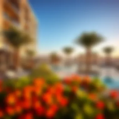 Amenities available at Cedar Creek Beach including pools, lounges, and recreational areas