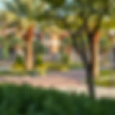 Vibrant Community Park in Uptown Al Zahia Community park in Uptown Al Zahia filled with greenery
