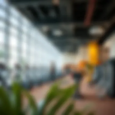 Diverse Fitness and Recreational Amenities Fitness and recreational facilities in the community center