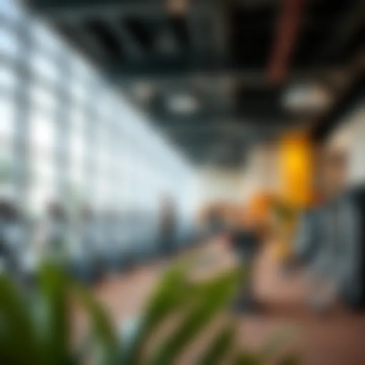 Diverse Fitness and Recreational Amenities Fitness and recreational facilities in the community center