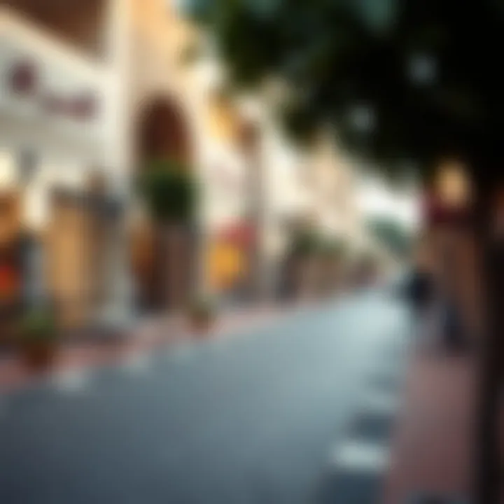 A street view of Damac Hills 2 showcasing the blend of shops and community spaces.