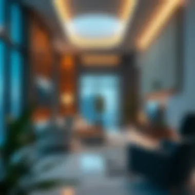 Overview of DHA License for Real Estate Professionals DHA License overview for real estate professionals