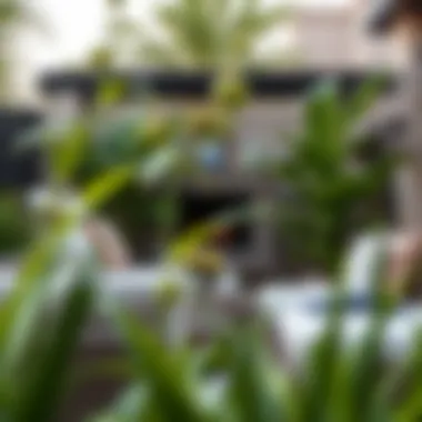 Close-up of elegant outdoor furniture surrounded by lush greenery