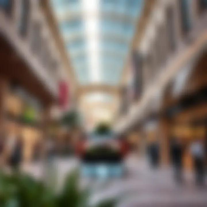 Commercial Areas of Al Badia Festival City Commercial areas of Al Badia Festival City bustling with activity and design