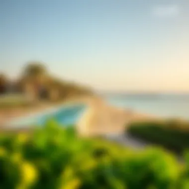 Pristine Beachfront with Lush Greenery Pristine beachfront with lush greenery