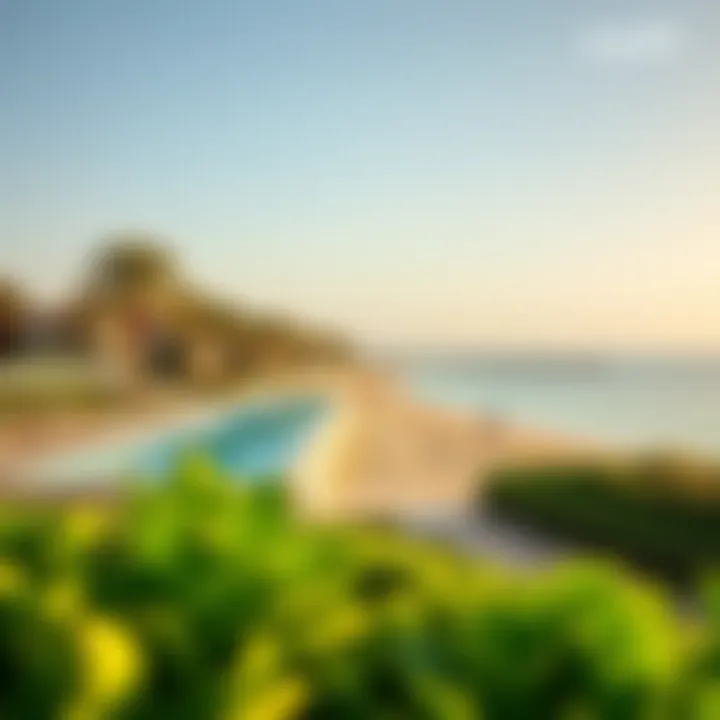 Pristine Beachfront with Lush Greenery Pristine beachfront with lush greenery