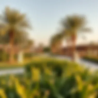Recreational Opportunities in Al Rashidiya A vibrant park in Al Rashidiya with lush greenery and recreational facilities