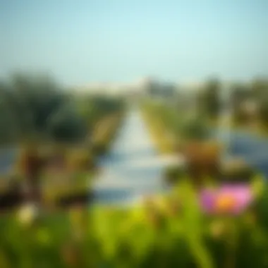 A vibrant park in Nad Al Hamar offering green spaces for relaxation.