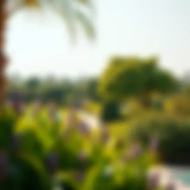 The Verdant Environment of Azalea Masaar Lush green landscape surrounding Azalea Masaar