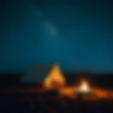 Starlit Desert Camping Experience Starlit desert camping under a clear sky