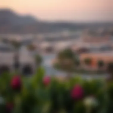 Damac Hills Community Landscape Damac Hills Community Landscape