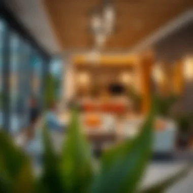 Community Vibes in Dania Properties Vibrant community spaces in Dania