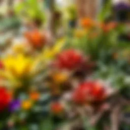Vibrant assortment of plants showcasing biodiversity