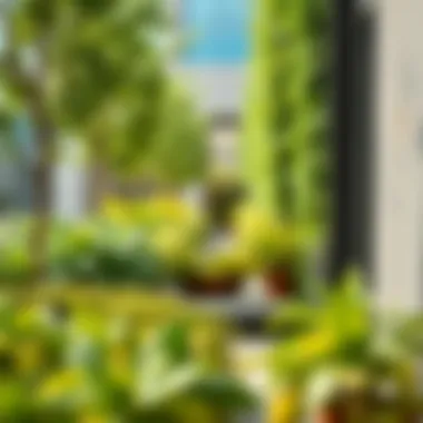 Sustainability in Urban Greenery Sustainable practices in Dubai's urban gardens
