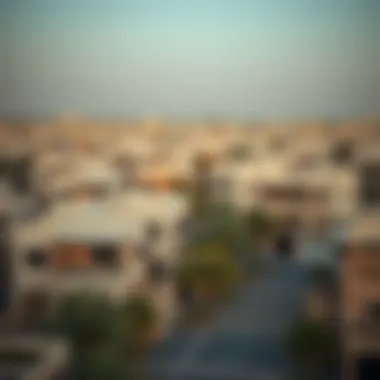 Aerial view of a thriving Emirati neighborhood highlighting architectural diversity