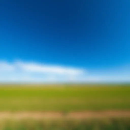 Vast agricultural land in Showka under blue skies