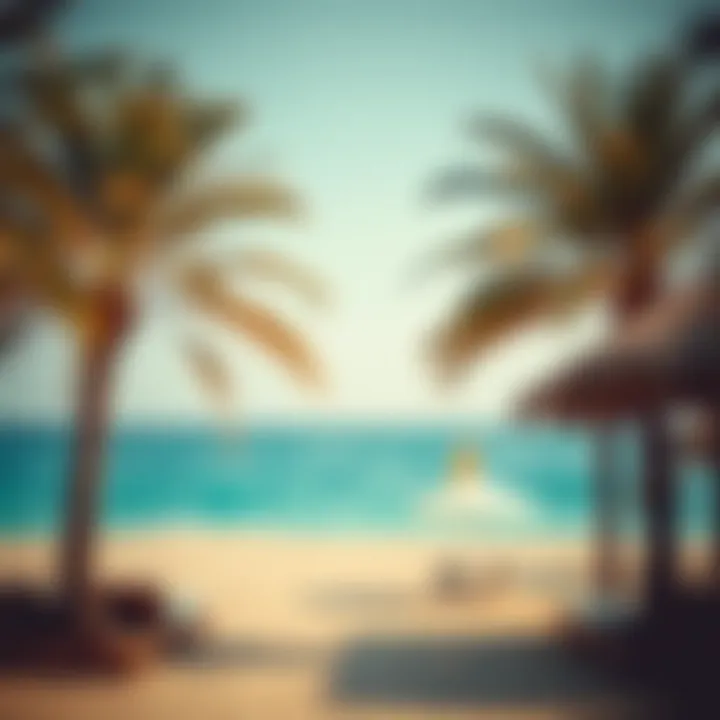 Serene beach setting with palm trees in Dubai
