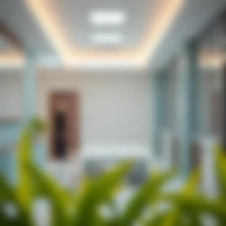 Healthcare Initiatives by MoHAP Illustration of healthcare initiatives by MoHAP