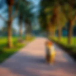A serene park in Dubai where pets can roam freely.
