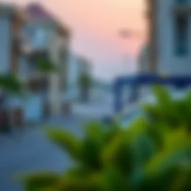 A serene view of Baniyas neighborhood showcasing local amenities