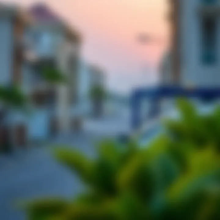 A serene view of Baniyas neighborhood showcasing local amenities