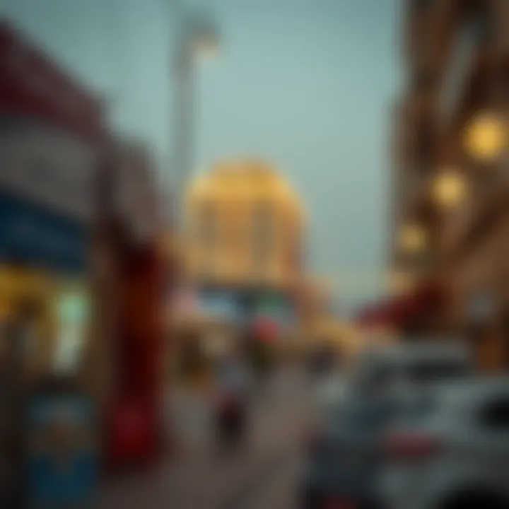 Overview of local amenities in Karama neighborhood