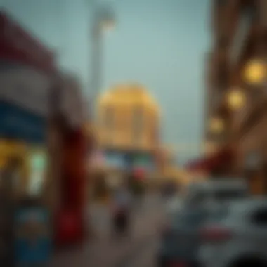 Local Amenities in Karama Overview of local amenities in Karama neighborhood