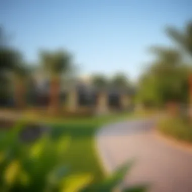 Green Spaces in Sahara Meadows Lush landscapes and parks within Sahara Meadows