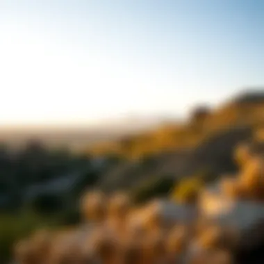 Serene landscapes surrounding Talia the Valley