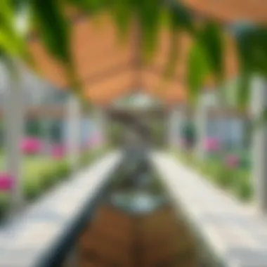 Exploring the Botanic Garden Dubai: A Comprehensive Overview Summary