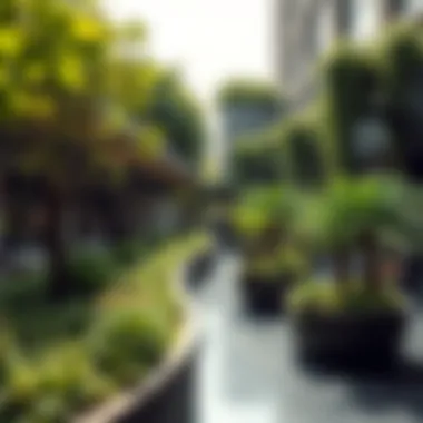 Sustainability at Zahia City Center Lush green spaces and sustainable features at Zahia City Center