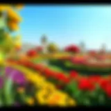 A panoramic view of the lush Dubai Miracle Garden showcasing vibrant floral displays.