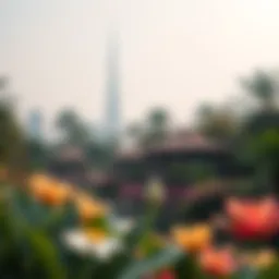 A serene landscape of Dubai's botanical garden showcasing diverse flora.