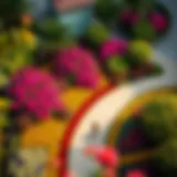 Aerial view of the Wonder Garden showcasing its vibrant floral arrangements and pathways