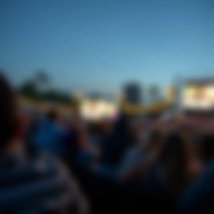 Audience at Open Air Cinema Audience enjoying a film under the stars