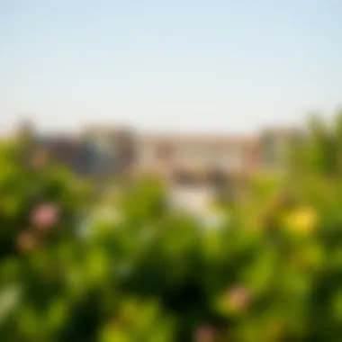 Scenic view of the hotel surrounded by greenery