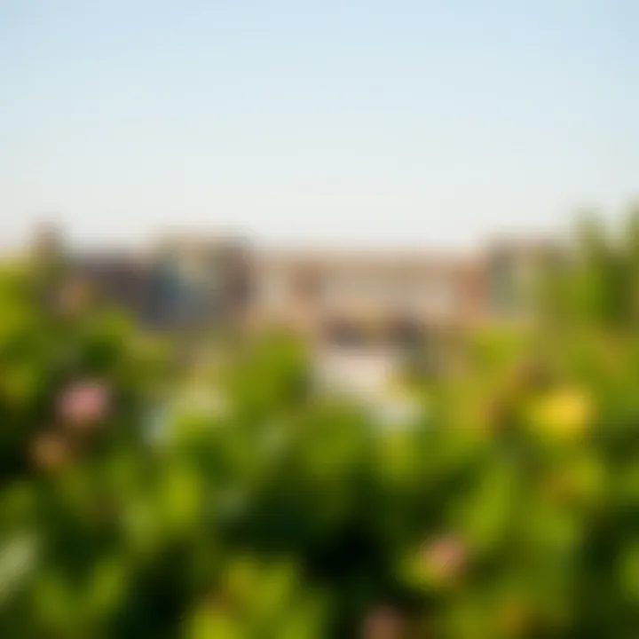 Scenic view of the hotel surrounded by greenery