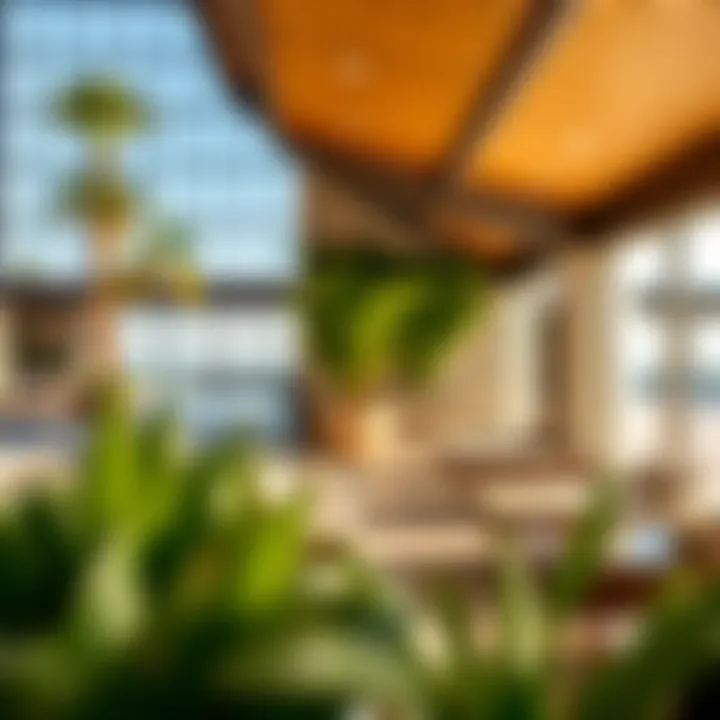 Luxurious amenities at The Lakes Club highlighting recreational facilities.