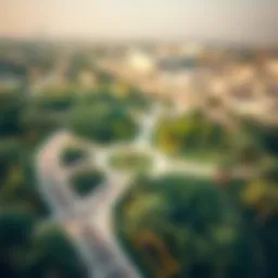 Aerial view of Al Safa Park showcasing its lush greenery and pathways