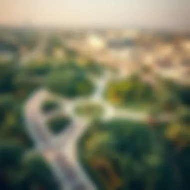 Aerial view of Al Safa Park showcasing its lush greenery and pathways
