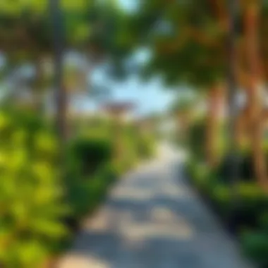 Exploring the Tranquil Pathways of Wasl Green Park Serene pathways within Wasl Green Park surrounded by lush greenery